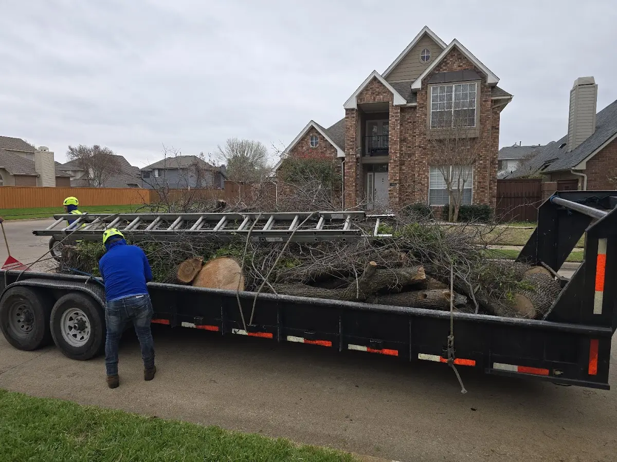 Expert Tree Pest Control with proper safety equipment in Santa Maria